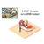IP HandyQuad Professional RTSP Stream to HDMI Solution