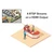 IP HandyQuad Professional RTSP Stream to HDMI Solution