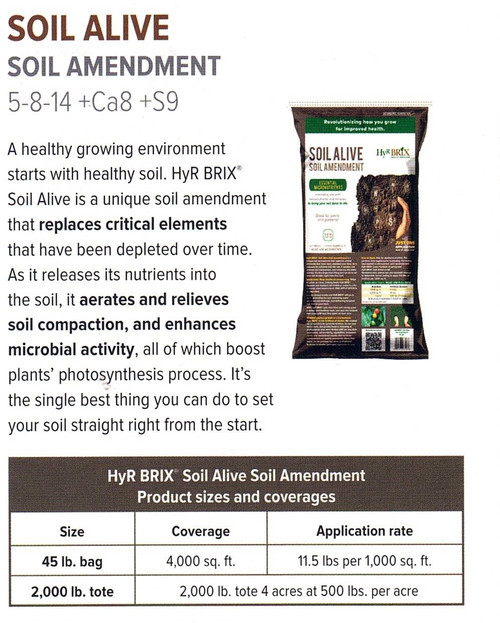 SOIL ALIVE