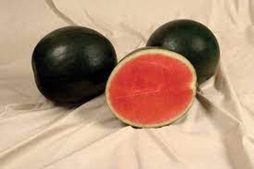 Sweet Gem Red Seedless Watermelon
