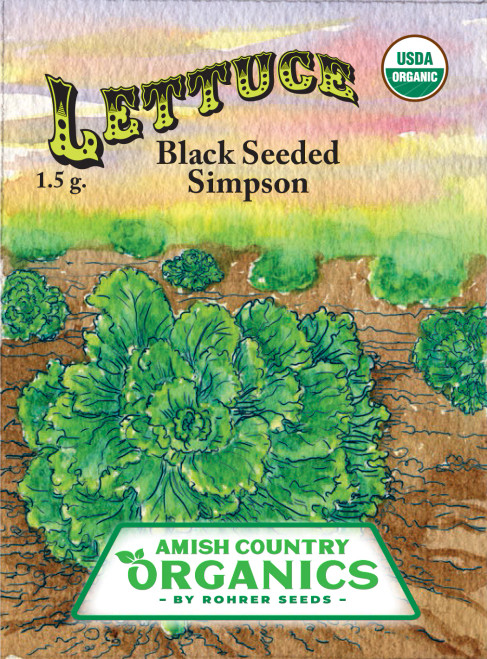 Organic Lettuce Leaf Black Seeded Simpson Packet