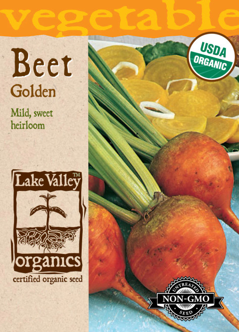 Organic Golden Beets
