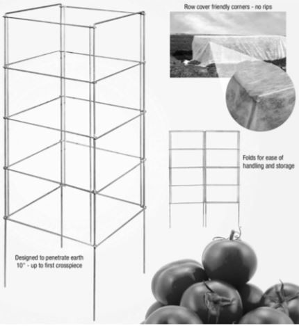 Heavy Duty Square Tomato Cage - Standard 40" High