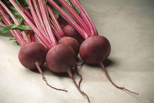 Our first hybrid beet, consistently producing early beets of the highest quality. Roots are smooth with a deep red color, tender and extremely sweet. Strong hybrid vigor results in fast, uniform plants that hold well for a continued harvest. 80 - 85 days to harvest. (approx. 100 seeds/pkt)