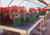 24" x 48" Plastic Bench Tops