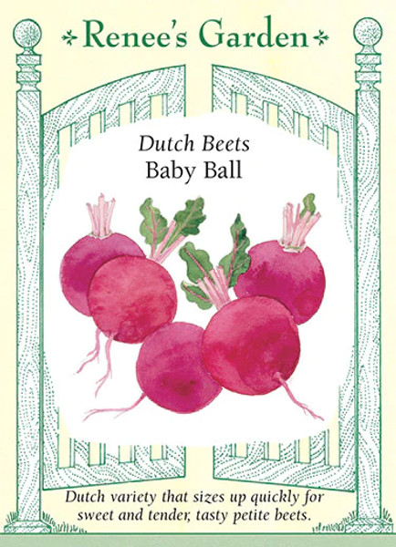 Baby Ball Beet