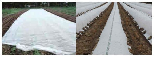 DeWitt Floating Crop Cover