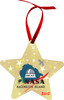 Shown with the NASA logo. Your ornament will not have this logo unless requested.