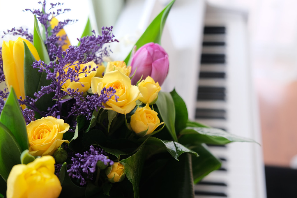 Why Are Flowers The Best Gift? Why Are Flowers The Best Gift?
