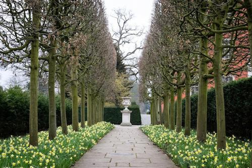 The Natural Flowers Of Great Britain The Natural Flowers Of Great Britain