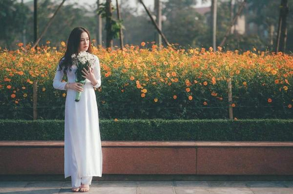 10 Best Flowers to Get a Girl 10 Best Flowers to Get a Girl