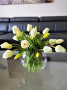 Classic Tulips White