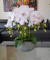 Orchid White - Pink in Gold Blue vase 1