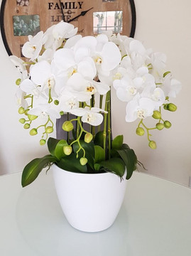 Faux Orchid Plant