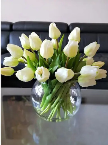 Classic Tulips - White