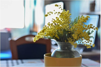 5 Reasons Why Artificial Plants are Perfect for Office Decor in the UK | Saffron’s Decor