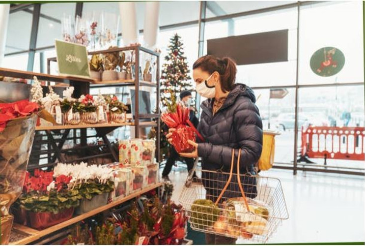 A Beginner's Guide To Gifting Housewarming Plants In The UK | Saffron’s Decor A Beginner's Guide To Gifting Housewarming Plants In The UK | Saffron’s Decor