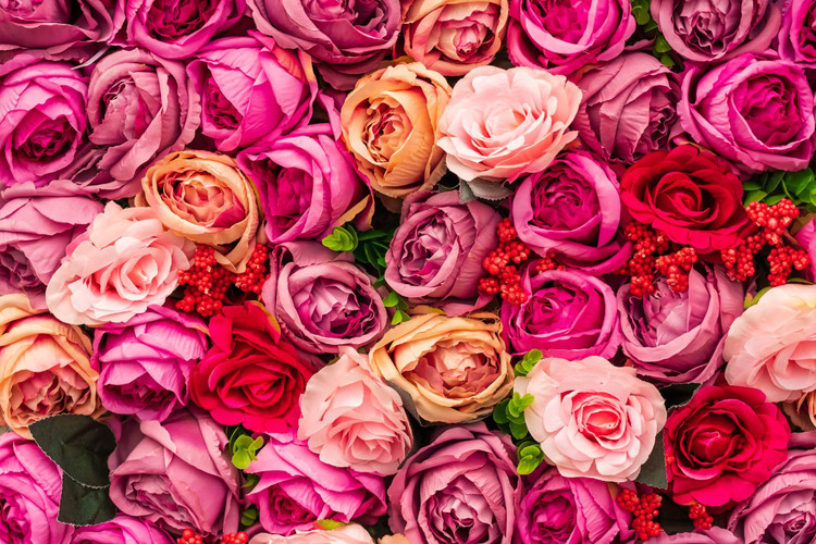 How To Deadhead Roses Like A Pro!