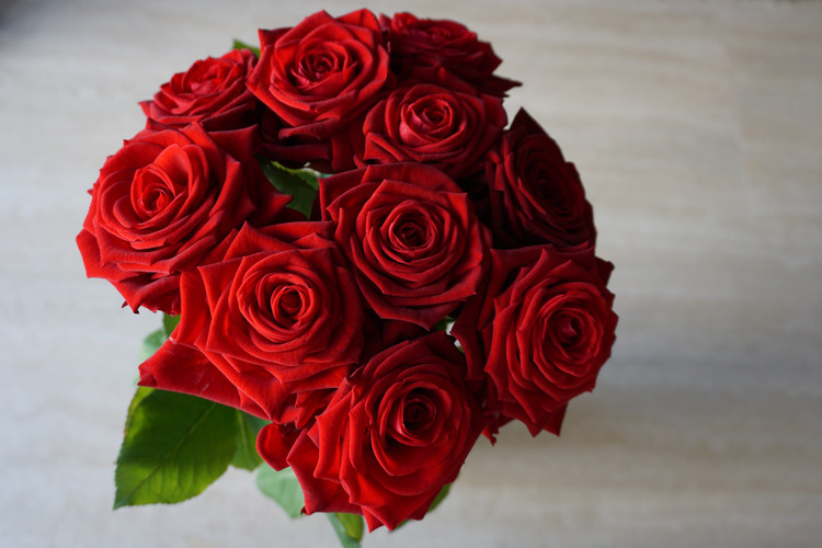 5 Easy Tips for Taking Care of Roses in a Vase in 2022