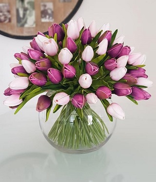 Tulips