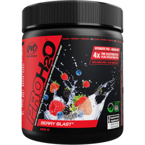 PVL PRO H2O 255G Berry PVL PRO H2O 255G Berry