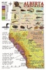 Alberta Dive Site Map and Critter  Waterproof Card