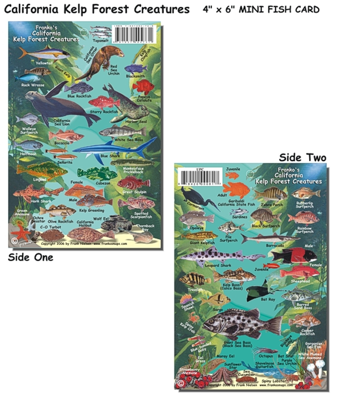 California Kelp Forest Fish Id Card Scuba Gear Canada California Kelp Forest Fish Id Card Scuba Gear Canada