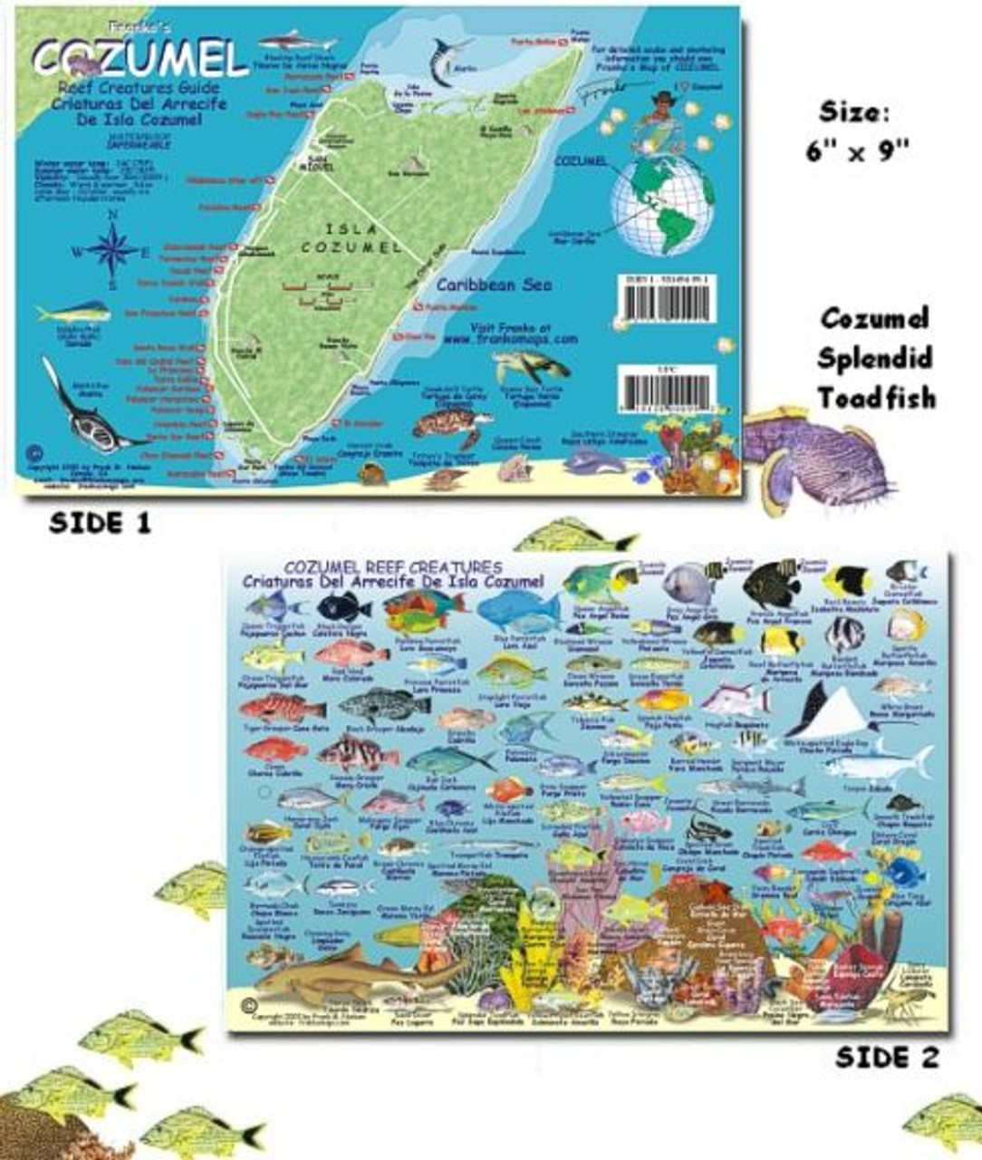 Isla Mujeres, Mexico, Fish Card – Franko Maps