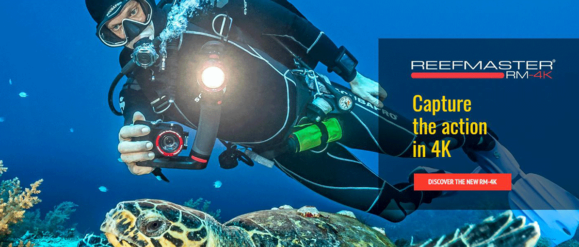 Scuba Gear Canada Snorkeling Scuba Diving