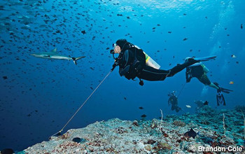 Scuba diver in Palau with reef hook