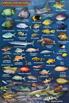 Dominican Republic Mini - Franko Fish Card