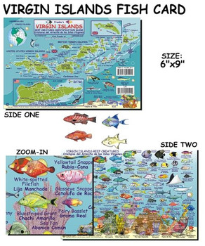 Waterproof Fish ID Card - Virgin Islands