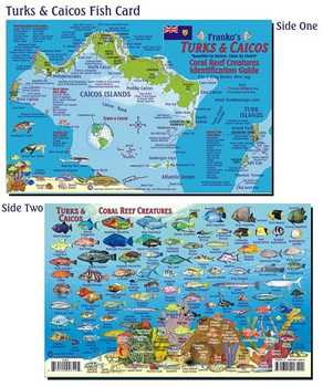 Waterproof Fish ID Card - Turks & Caicos