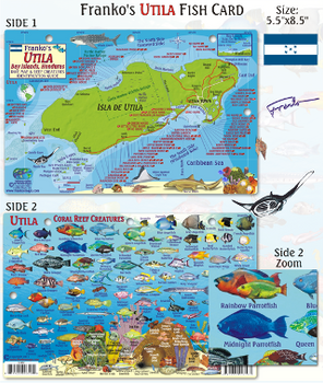 Waterproof Fish ID Card - Utila