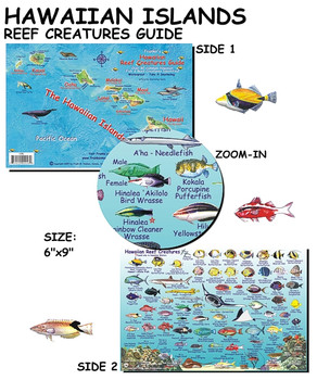 Mini Pocket Guide For Scuba Divers Fish Identification Guide For Snorkelers  Saltwater Fish Card Poster Waterproof Magnet Picture superb