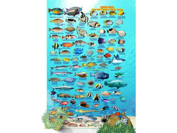 Waterproof Fish ID Card - Costa Rica Pacific