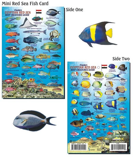 Waterproof Fish ID Card - Red Sea