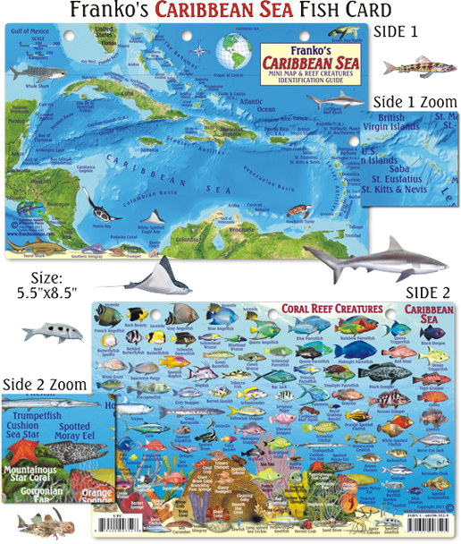 Waterproof Fish ID Card & Map - Caribbean