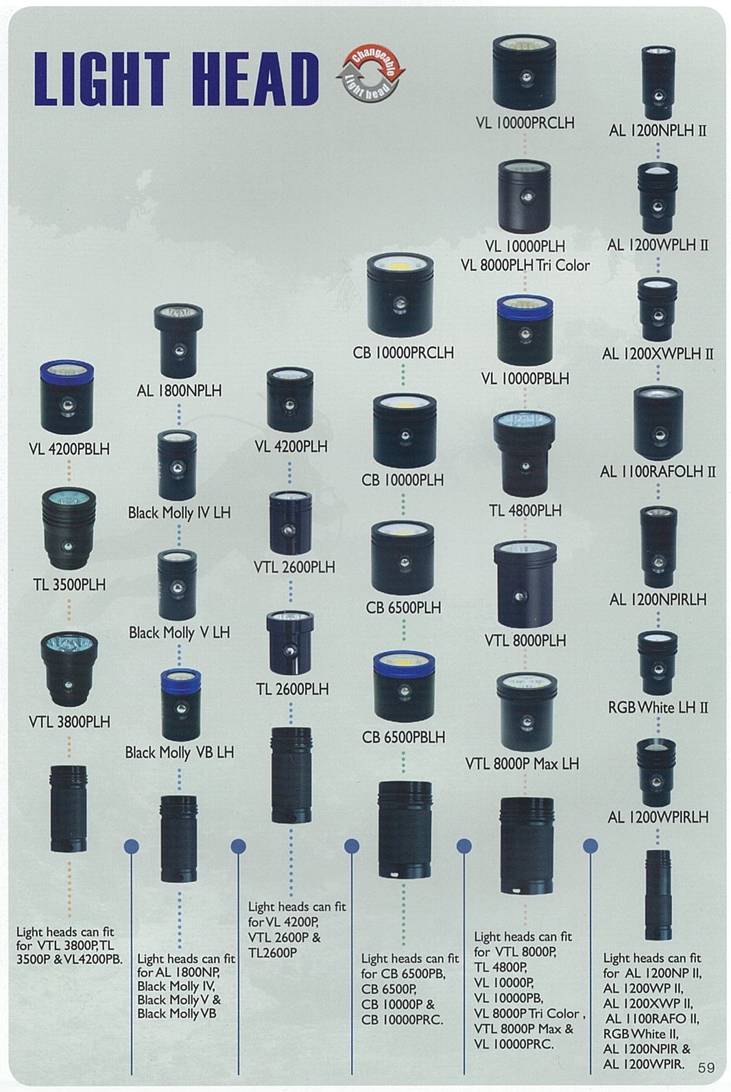 big-blue-changeable-light-head-chart.jpg