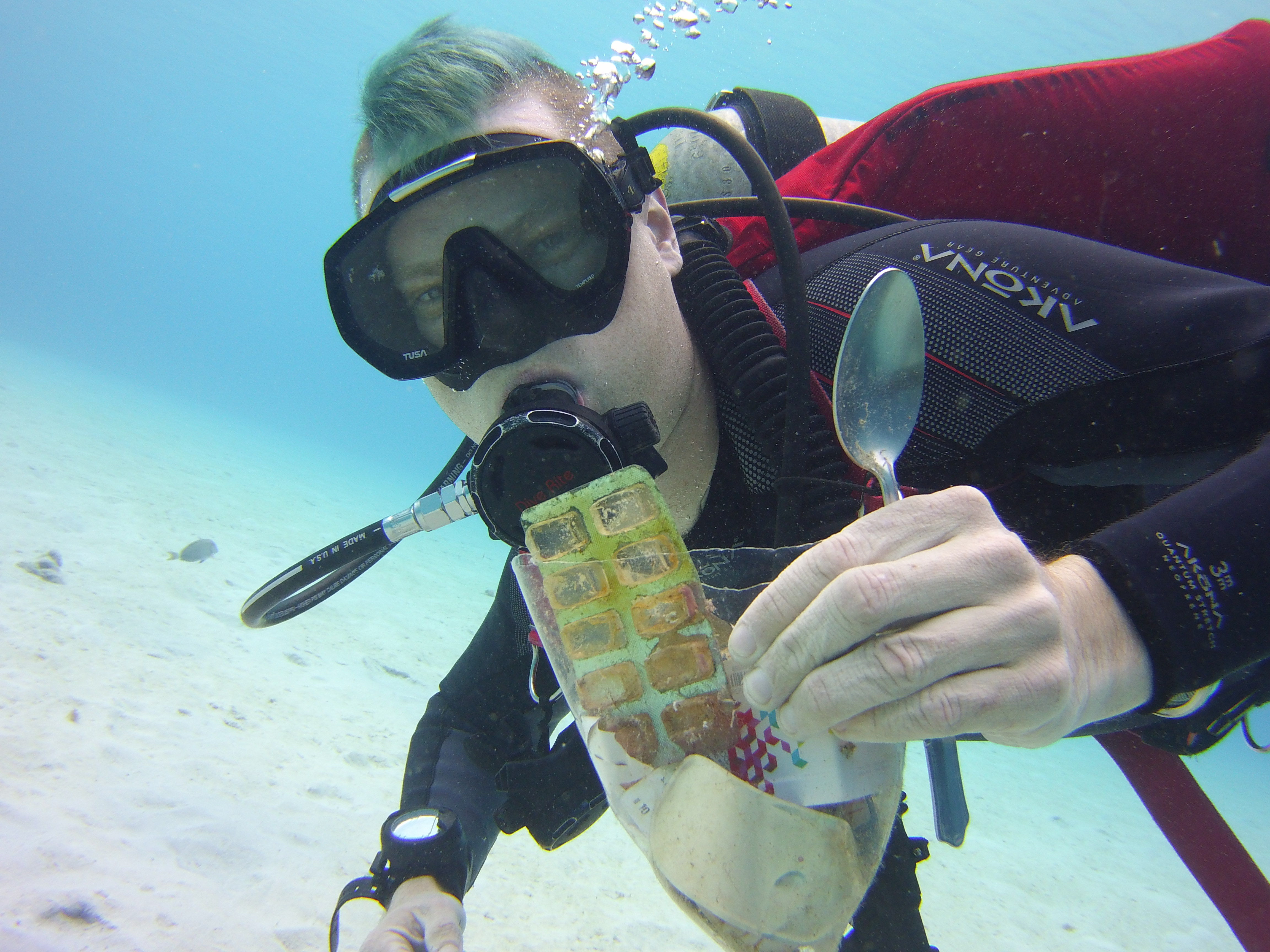 How to be an OceanFriendly Traveler Scuba Gear Canada