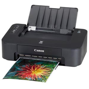 Canon PIXMA TS202 Printer