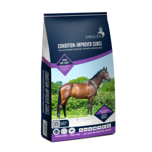 Saracen Condition-Improver Cubes Saracen Condition-Improver Cubes