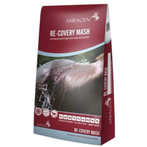 Saracen Re-Covery Mash Saracen Re-Covery Mash
