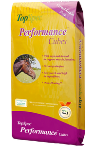 TopSpec Performance Cubes TopSpec Performance Cubes