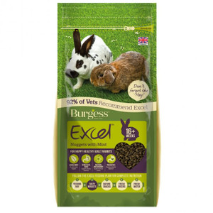 Excel Rabbit Adult