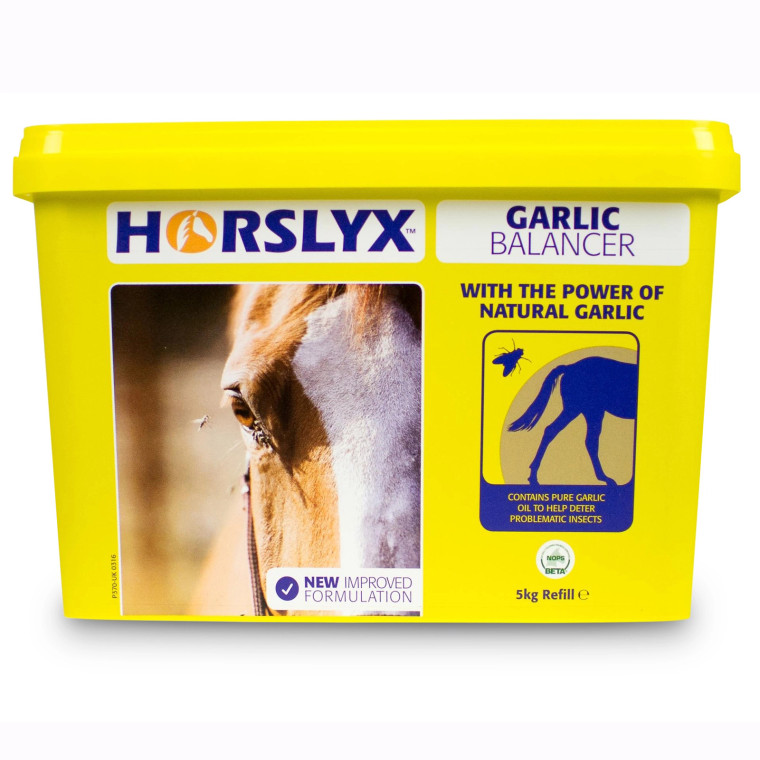 Horslyx Garlic