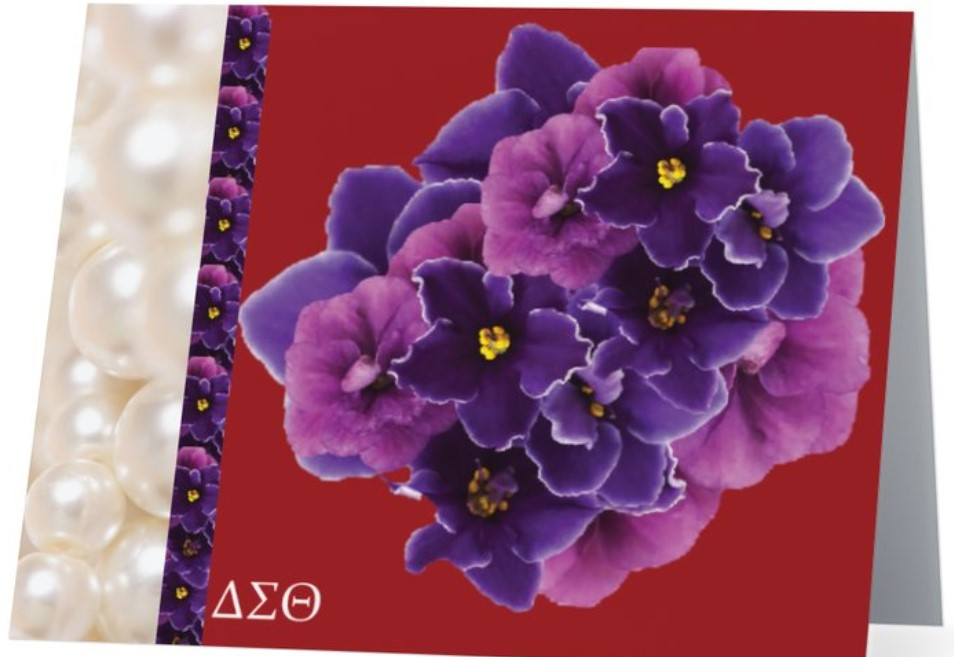 Delta Sigma Theta African Violet