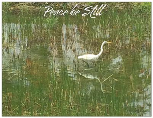 Picturesque Post Cards and Envelopes (Peace be Still) w/message on back (set of 10)