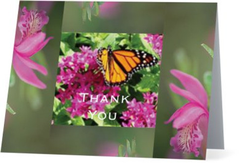 PERCHING MONARCH Note cards (THANK YOU) - w/envelopes, set of 5 (BLANK INSIDE)