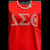 IRON -ON Textured Resin Transfer - Delta Sigma Theta Greek Symbols - White Textured Resin - Delta Iron Patch 